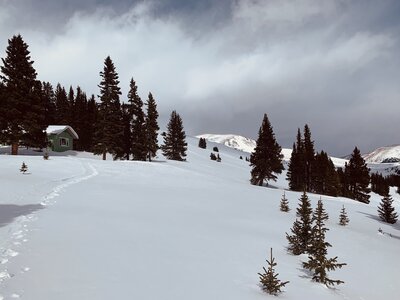 Skinning to the hut.