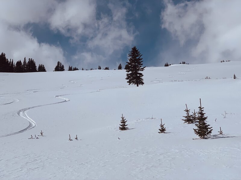 Sublime conditions in March looking back up at the upper snowfield.