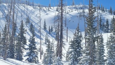 The goods on GPL. Shadowy area is cliffs most years.