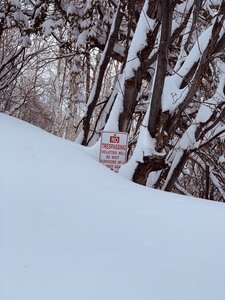 Avoid the private property here - no joke.