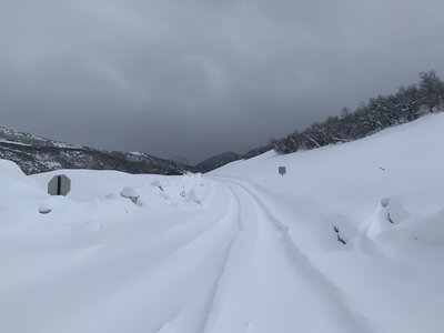 Starting point for a Shark Park tour - park at the pullout here.
