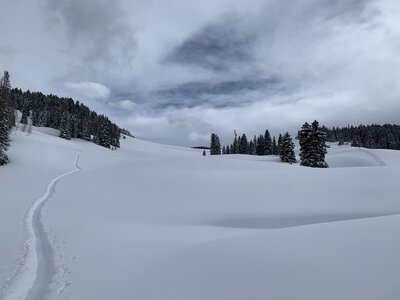 Looking up Sweet & High from the uphill skintrack.