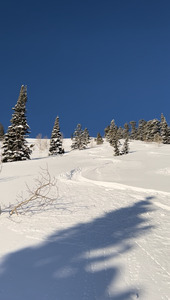 Look up about halfway down Jared's Jacuzzi. Had some easy powder.