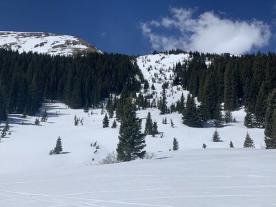 Looking south on the Herman skintrack, lots of good glades to be had in this basin.