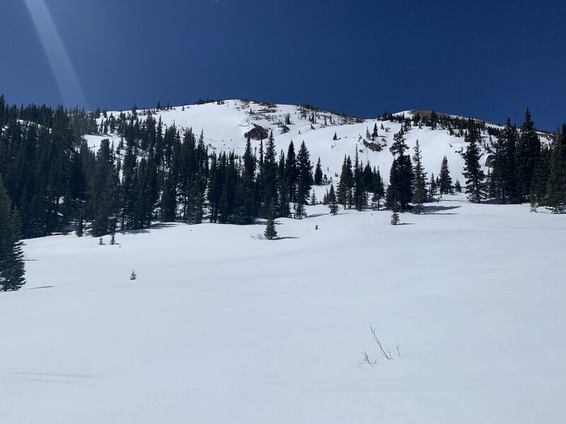 Another south view from the Herman Skintrack, more glades & low angles terrain before getting deep in the basin.