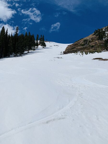 The lower pitch of the Mache Boujiee Coolie, from the Herman Gulch skintrack.
