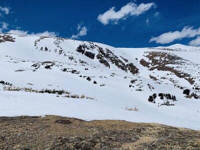 Looking northwest from the connector trail into Jones Pass lines.
