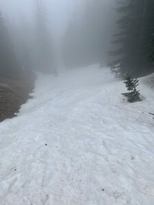 Had to hike out bottom but fun turns from top.