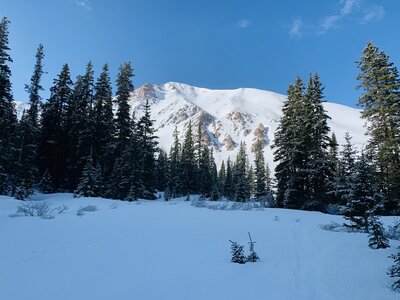 Drainpipe Couloir reveals itself while still on the skintrack up Ruby Gulch