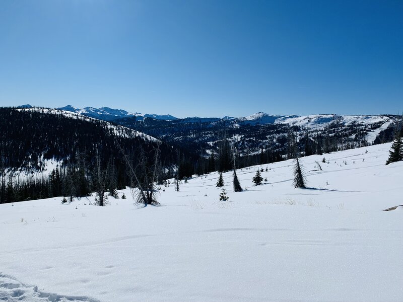 Lobo Overlook - mellow skiing