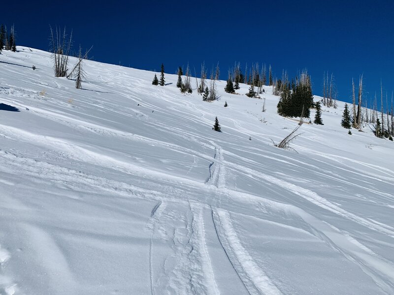 open glades on wolf creek pass