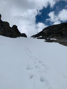 looking up the Mountain Boy North Gully, about halfway down