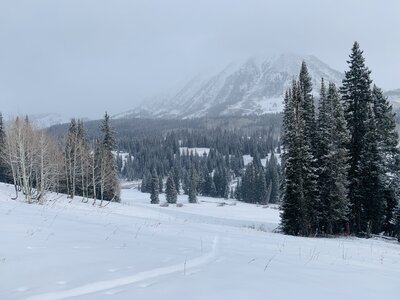 Lower skintrack on Coney's - Gothic Mountain in view.