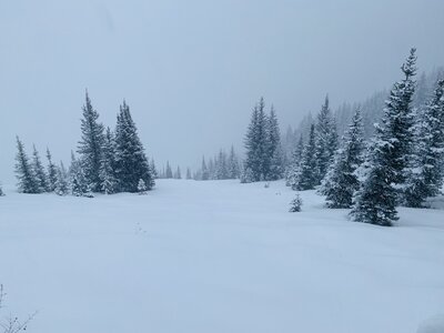 Early season pow midway down first glade.