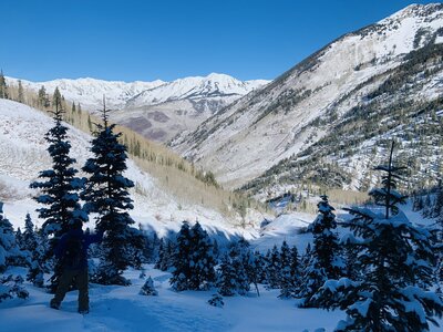The lower trees of Marble Peak, nearing Yule Quarry Road.