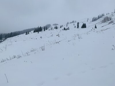 Early season conditions at Coney's.