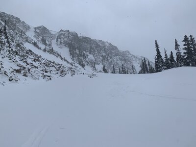 At the top shelf of the hippy trees, looking at Mount Otis.