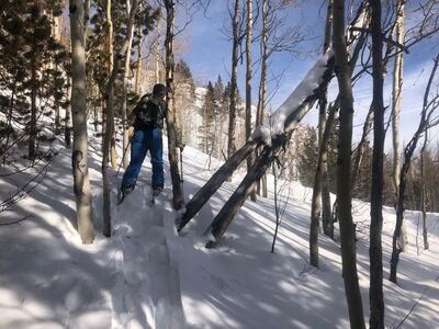 Skinning back up for another lap.