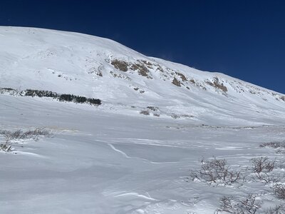 Kelso's South Slopes from below - note the East gully is to the right.