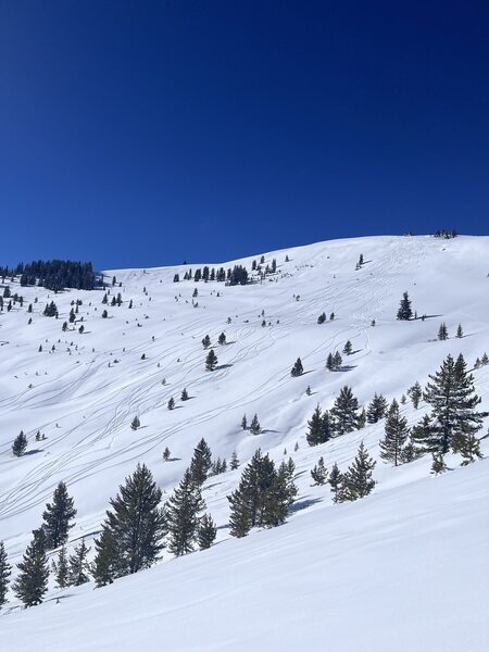 Looking across at Resolution Bowl runs (photo facing west) from Resolution Creek Ascent back to FHH.