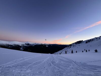 Sunset outside of FHH door. Looking at the top of the tree runs right out the door.