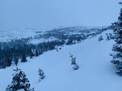 Above treeline pitch on Meadow Mtn at dusk.