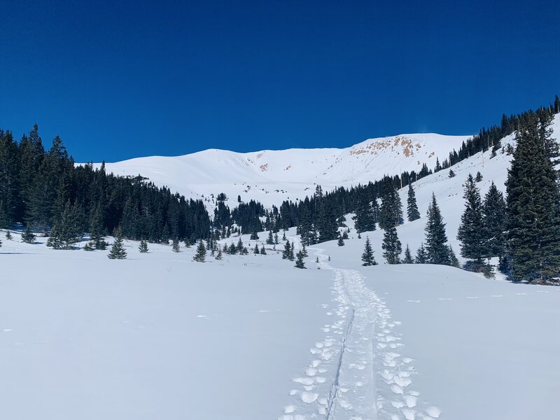 Watrous Bowl from the Watrous Gulch skintrack.