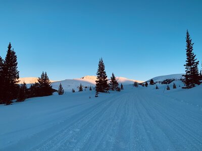 Skinning up Road 1A to the top of Ball Mountain.