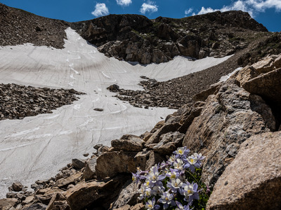 Look up Johnny's Run