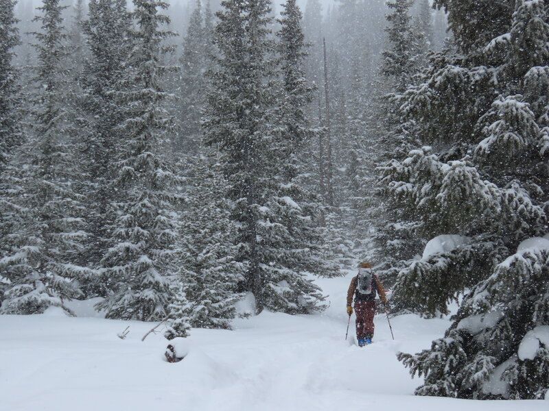 Skinning up in a light snow shower.