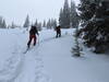 Branching off the hut to ridge skin track, on our way to Pickaxe.