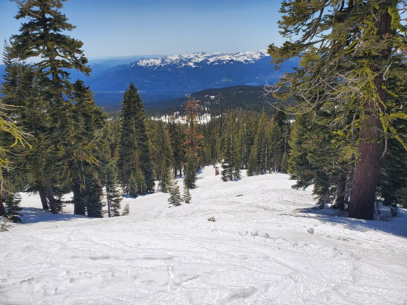 Ascent of Green Butte ridge line in the trees.