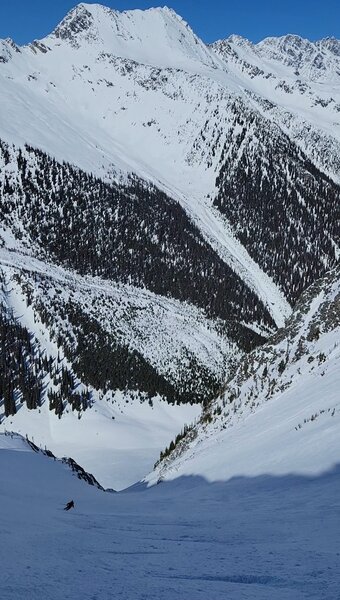 The STS couloir main chute. Dispatcher's Bowl and Grizzly Peak can be seen across the valley (also great skiing).