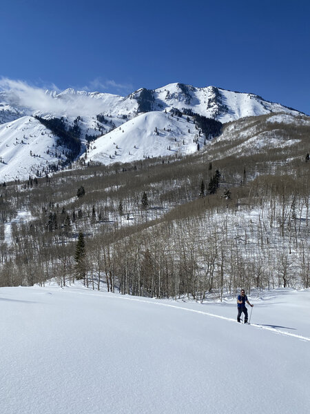 Looking toward Mt. Timpanogos as a skirt accents towards North Fork Lower Meadow.