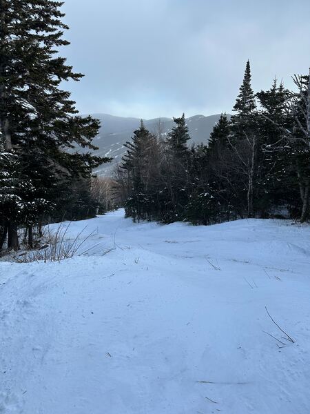 Looking down the John Sherburne Trail towards Wildcat, at about 2600 feet.