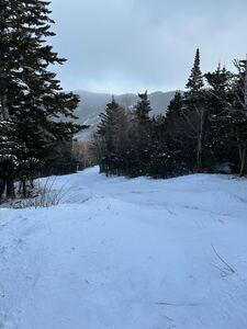 Looking down the John Sherburne Trail towards Wildcat, at about 2600 feet.