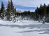 Winter splendor along the Pipeline trail.