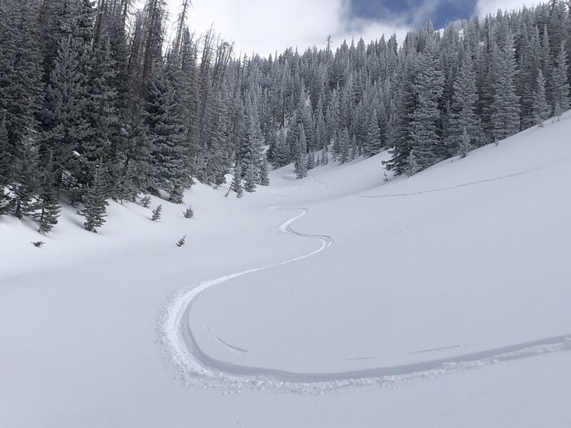 At the bottom of the run, looking back up the gully. The slope to the right looks inviting but is steeper and likely more avalanche prone than the route I've described. It's also shorter.