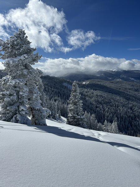 Maybe 15 turns into the top bowl of the Mile (if you climbed to the top gate) on a glorious January day.