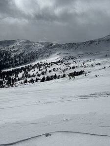 Looking at the south side of the bowl in late March.
