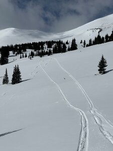 Looking at the excellent mellow glades in the middle of the bowl.