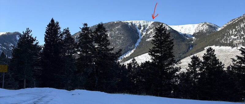 Red Arrow points at "Smile Dog".