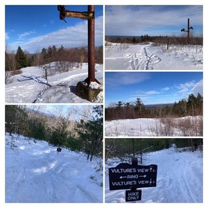 Views after a giant blizzard.