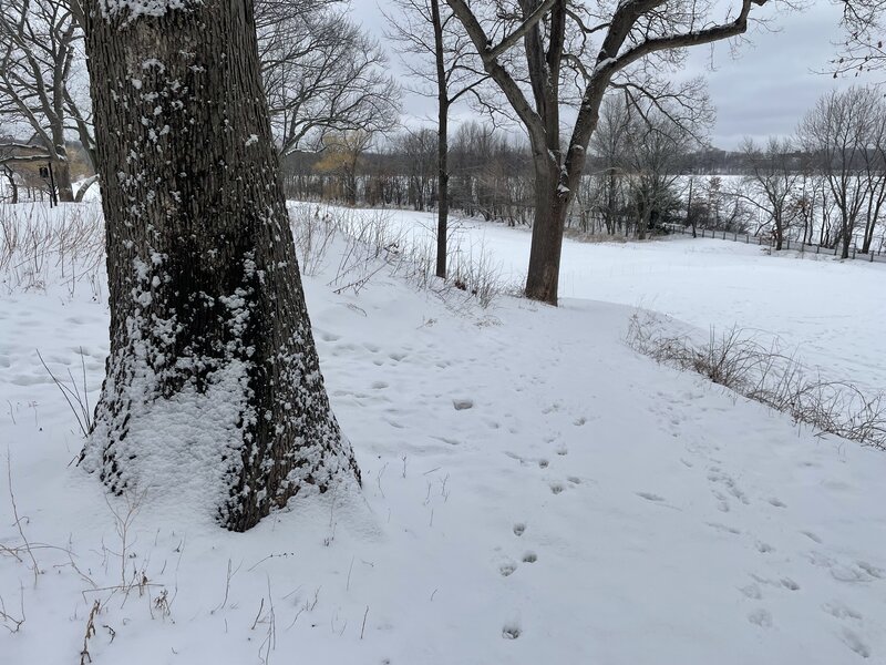 Trailhead of Once Upon A Time...