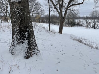 Trailhead of Once Upon A Time...