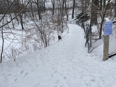 Trailhead of Confession