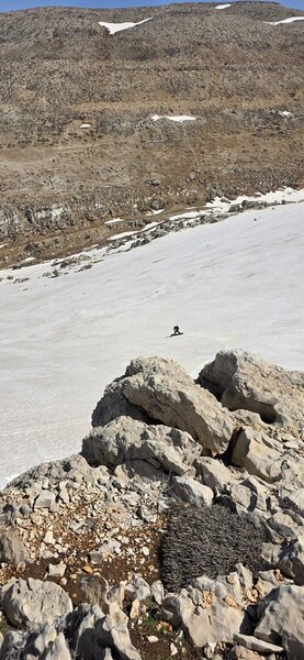 Nice run down the face of the hill.