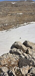 Nice run down the face of the hill.